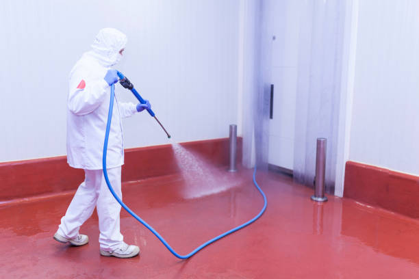 Best Solar Panel Cleaning  in Columbus, GA
